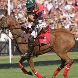 Polo, Commercial Wedding Photographers: Photoscience.co.uk